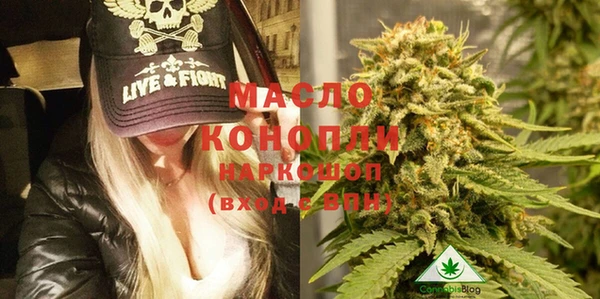 молекула духа Арсеньев