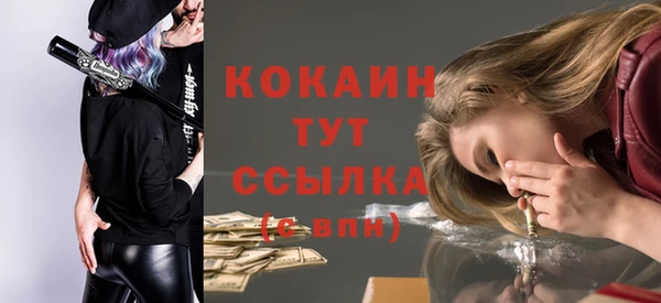 молекула духа Арсеньев