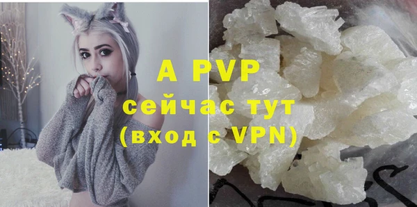 apvp Аркадак